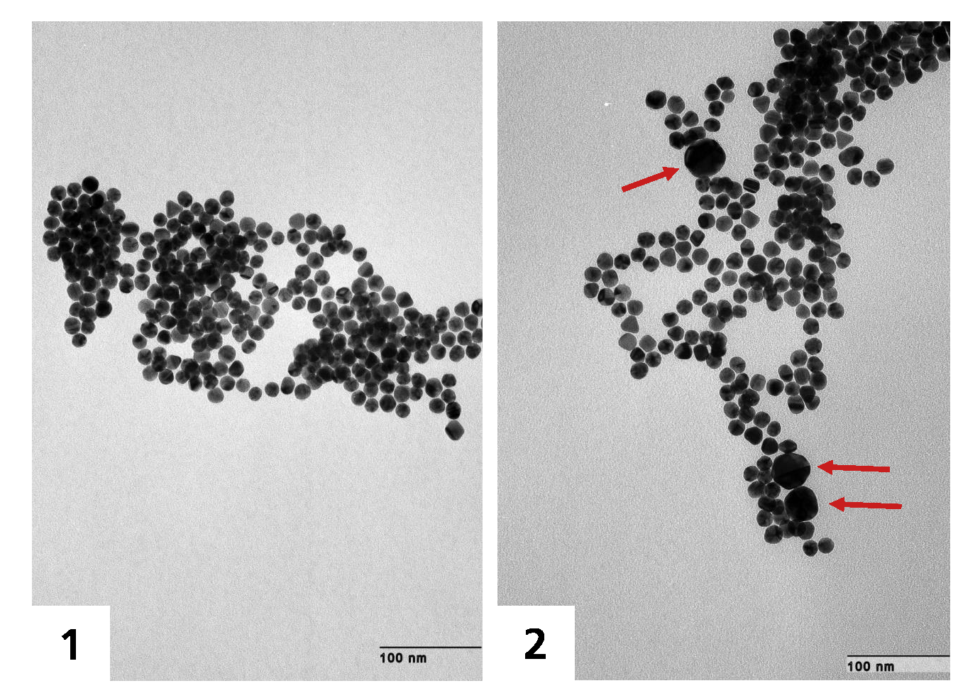 ID0027 Fig4 TEM15nm