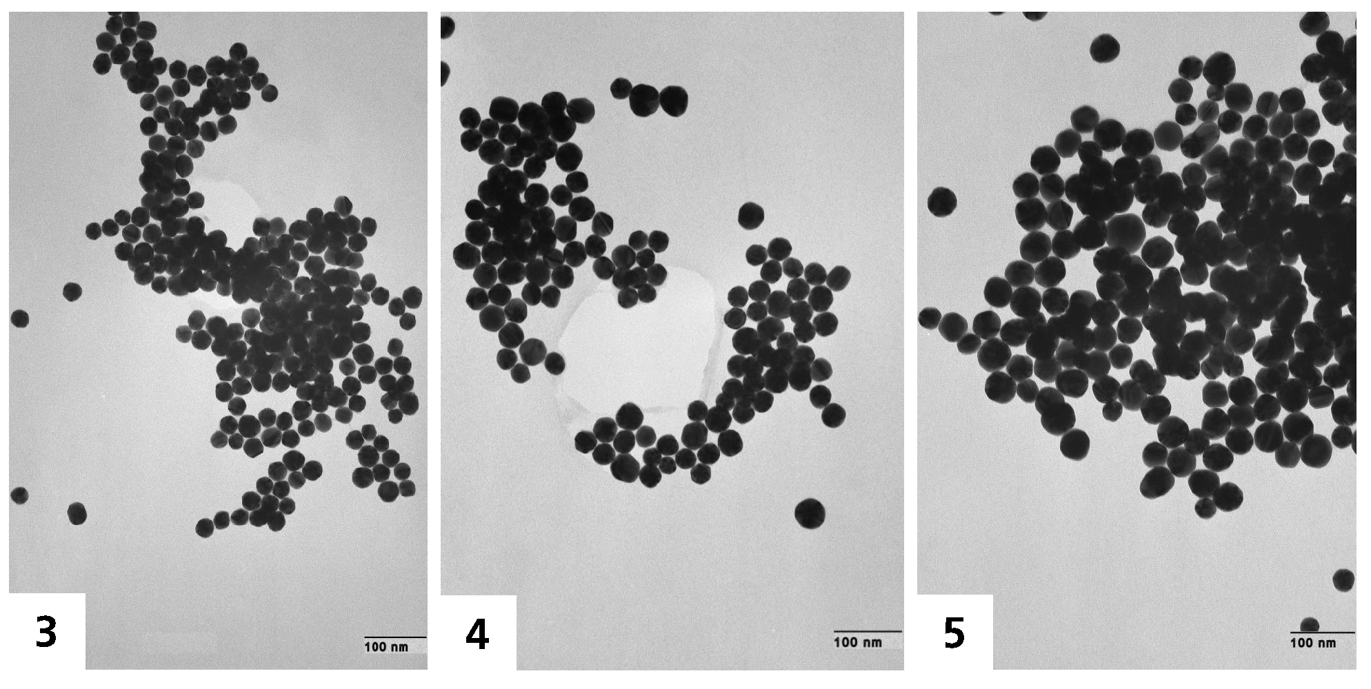 ID0027 Fig4 TEM40nm