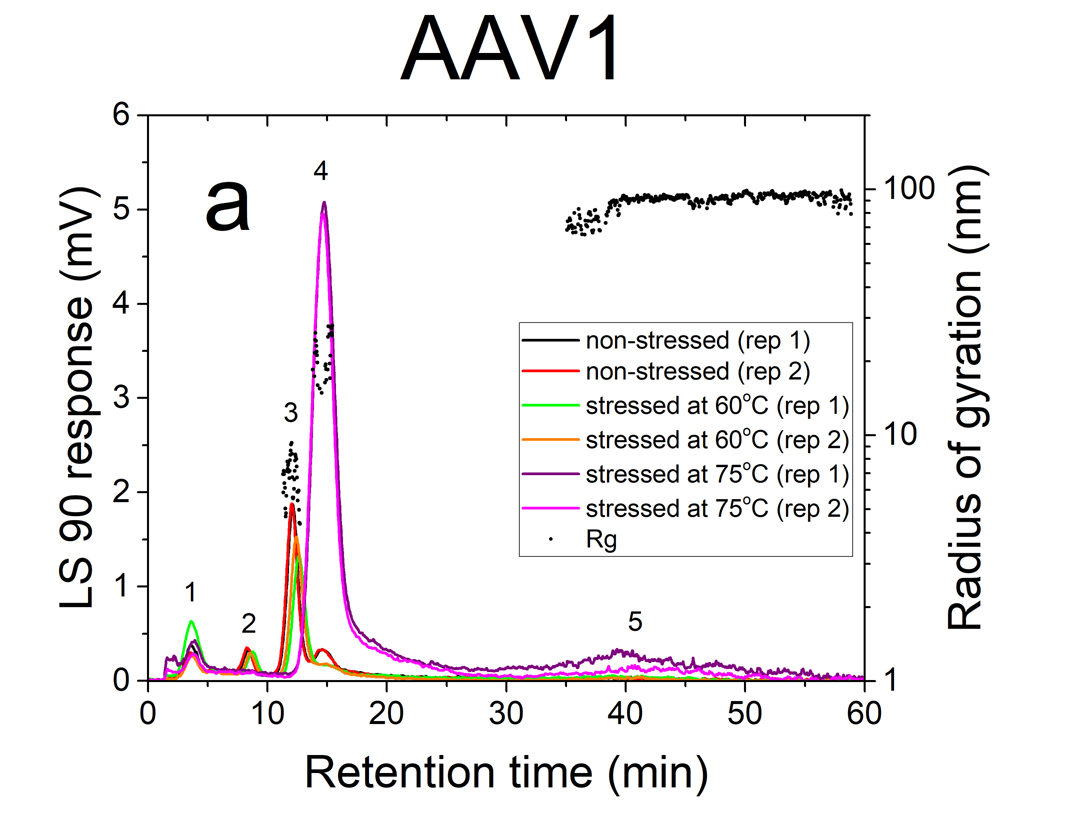 ID0066 AAV1 Rg stressed
