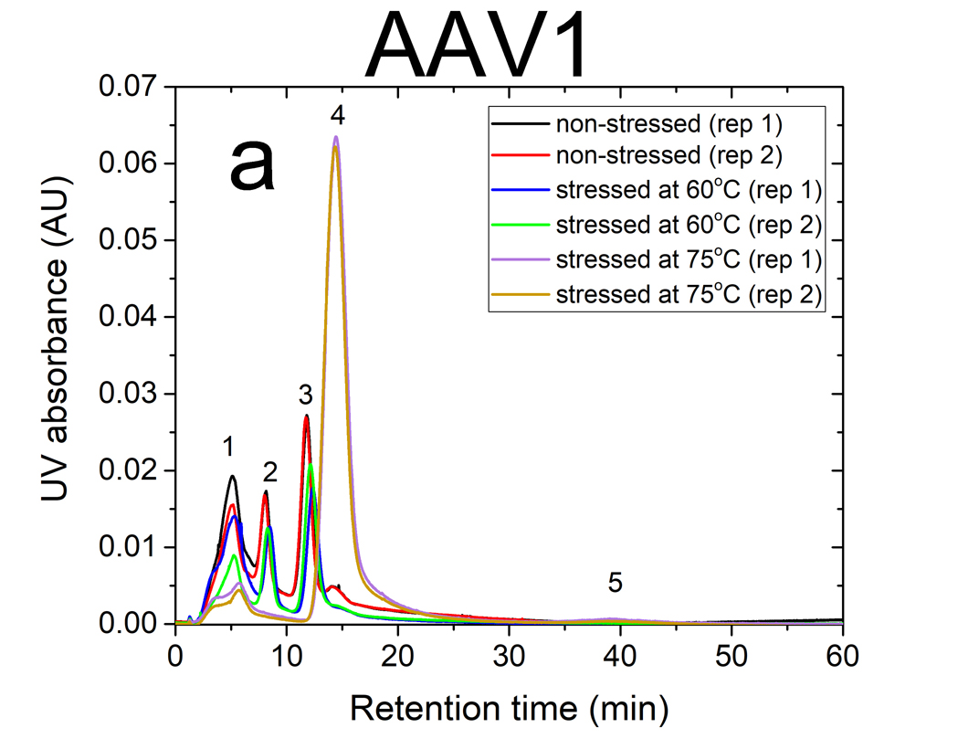 ID0066 Fig1 AAV1 stressed