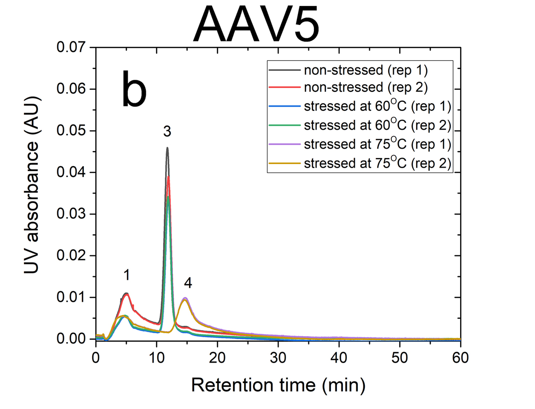 ID0066 Fig1 AAV5 stressed