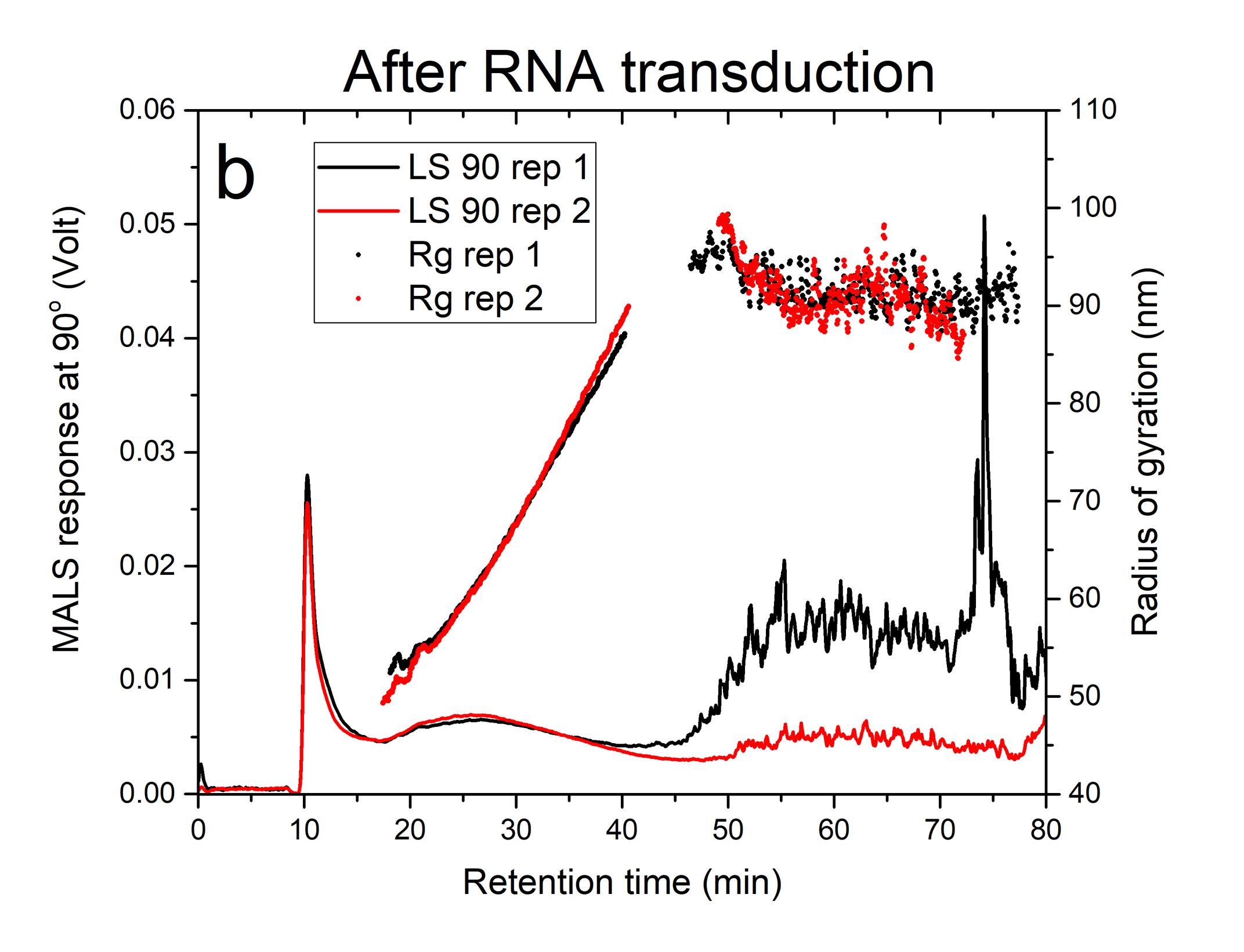 Figure 1. CF3-MALS fractograms and radius of gyration profi les of two replicates for the lentivirus product before (a) and after (b) RNA transduction. The solid lines represent the response of the MALS detector at 90°. The solid circles represent radius of gyration, Rg.