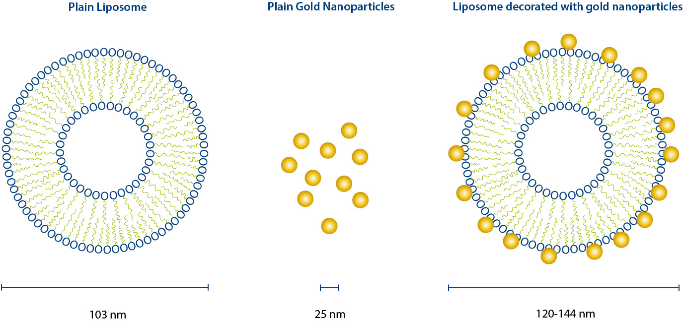 Liposom gold particles
