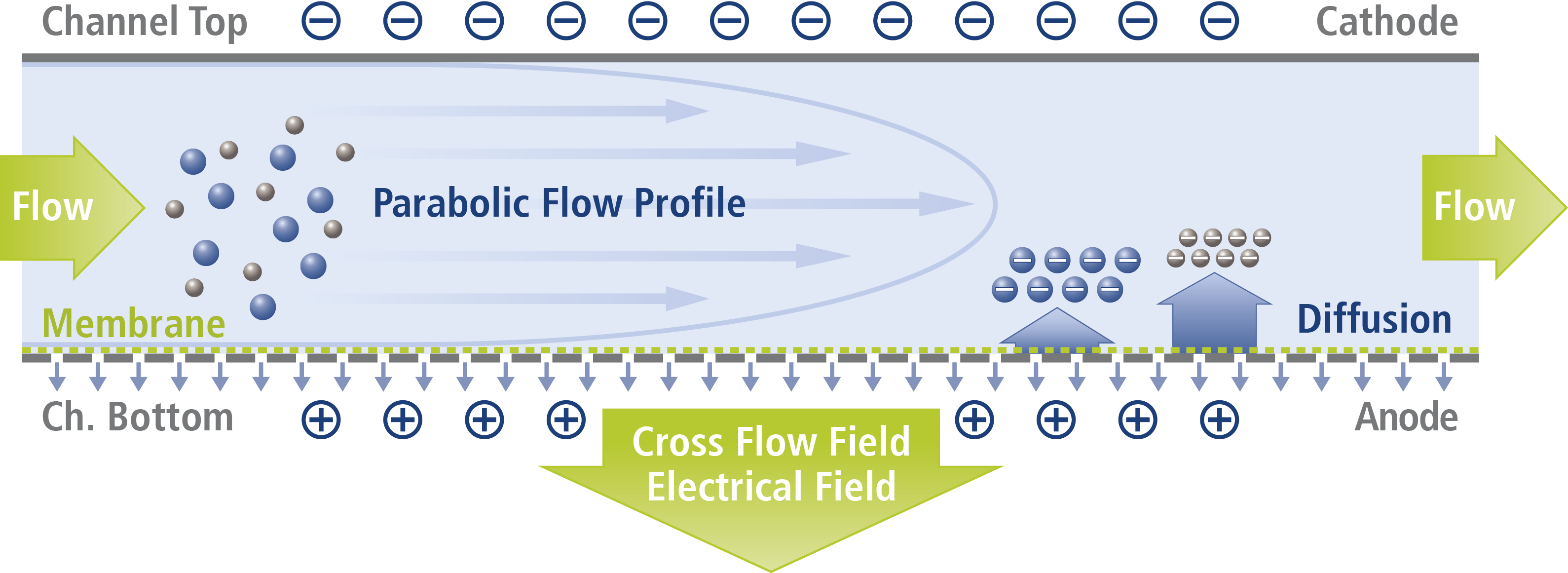 EAF4 Principle with SolidChannelTop 2016 Print